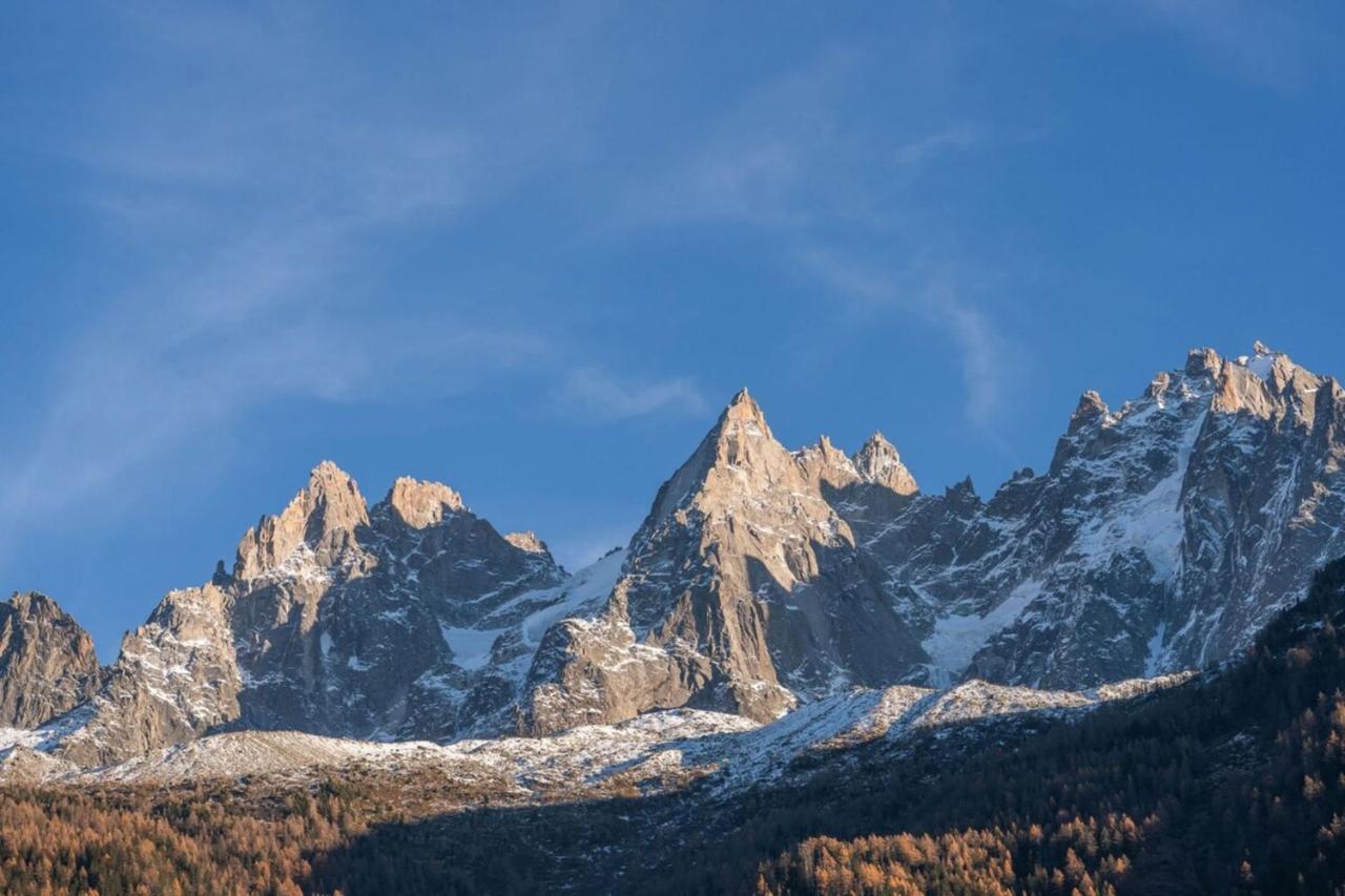 Portes Du Brevent -1 Bedroom Apartment With Magnificient Mont Blanc Views Chamonix Luaran gambar